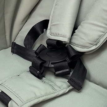 5-Point safety belt